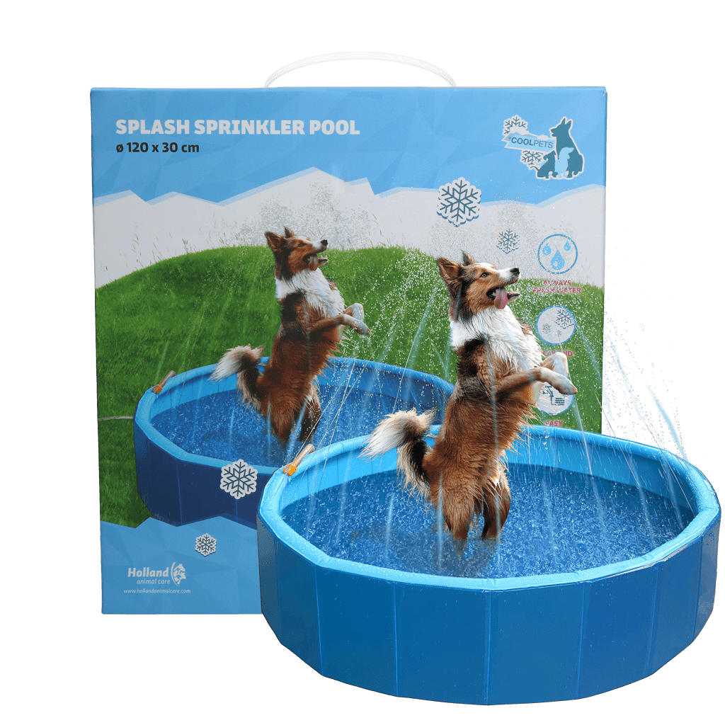 Coolpets Splash Sprinkler Pool