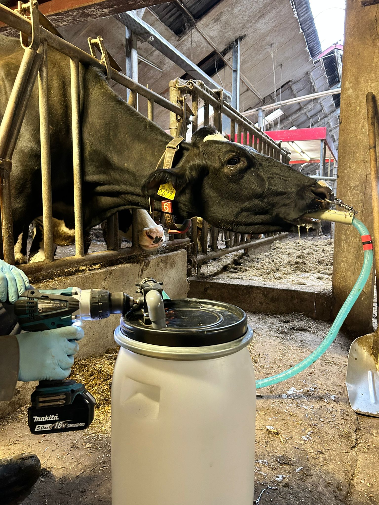 Excellent Cow Drencher Drill Driven - Afbeelding 2