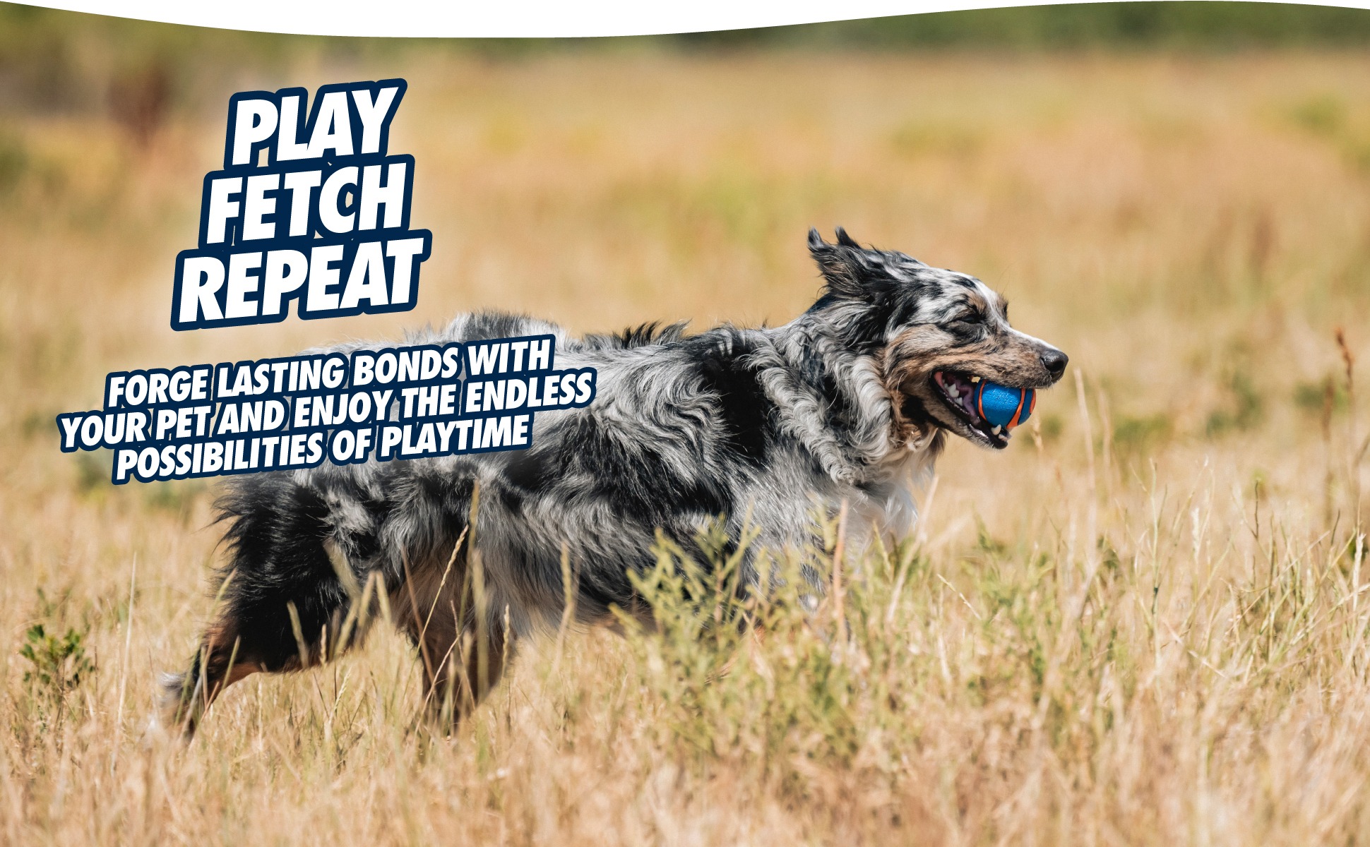 Chuckit! Ultra Squeaker Ball L (1-pack) - Afbeelding 6