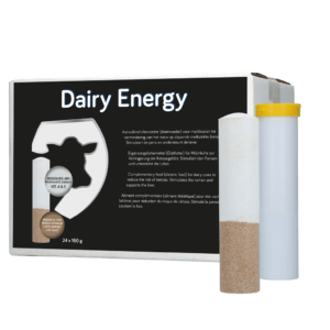 DairyEnergy Bolus 24 x 160 g