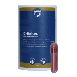 Excellent D-Bolus (Bicarbonaat) 24 stuks