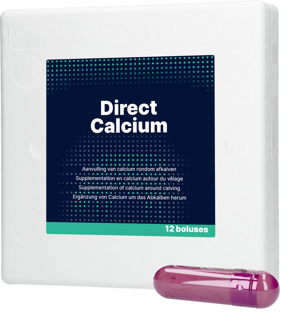 Direct Calcium 12 x 94 g