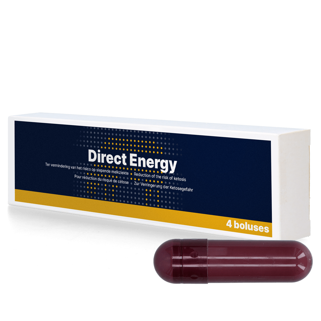 Direct Energy 4 x 67 g