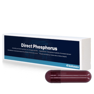 Direct Phosphorus 4 x 123 g