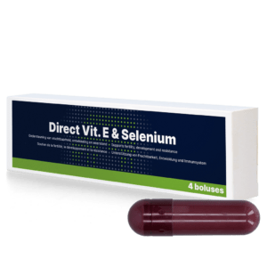 Direct Vit. E & Selenium 4 x 105 g