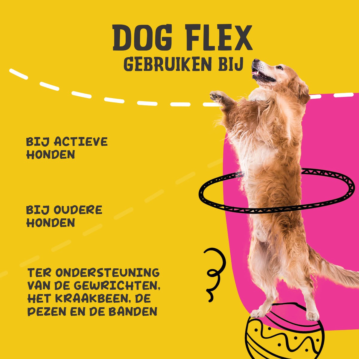 Excellent Pets Dog Flex 500 ml - Afbeelding 6