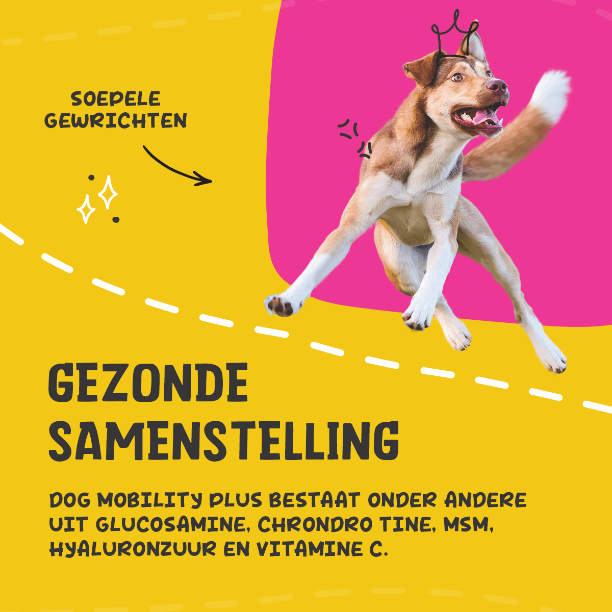 Excellent Pets Dog Mobility+ 100 g - Afbeelding 5