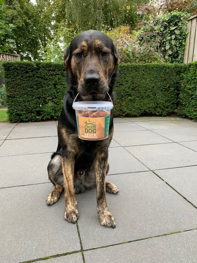 Duo Dog Honden Snacks - Afbeelding 2