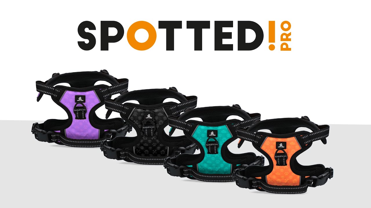 Spotted! Pro No Pull Harnas Paars XS - Afbeelding 2