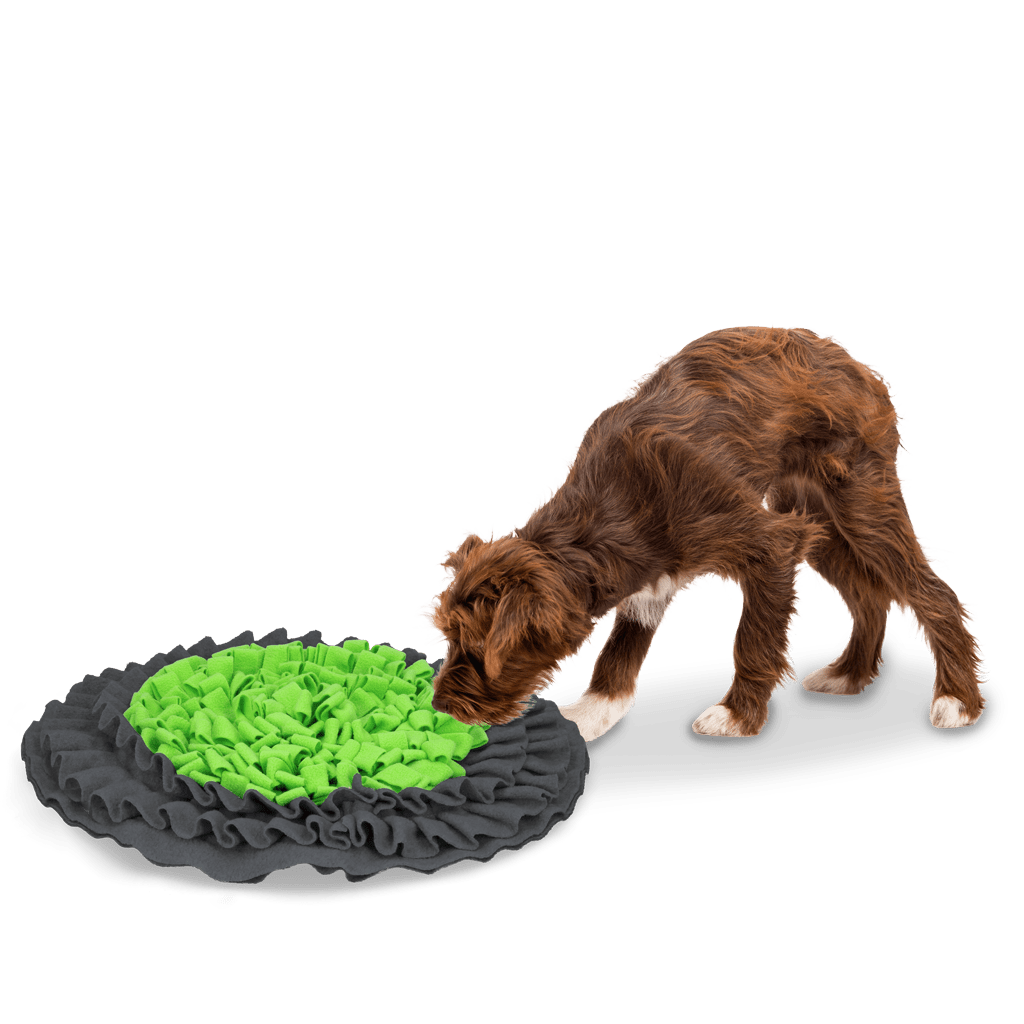 Eat Slow Live Longer Snuffle Mat - Afbeelding 2