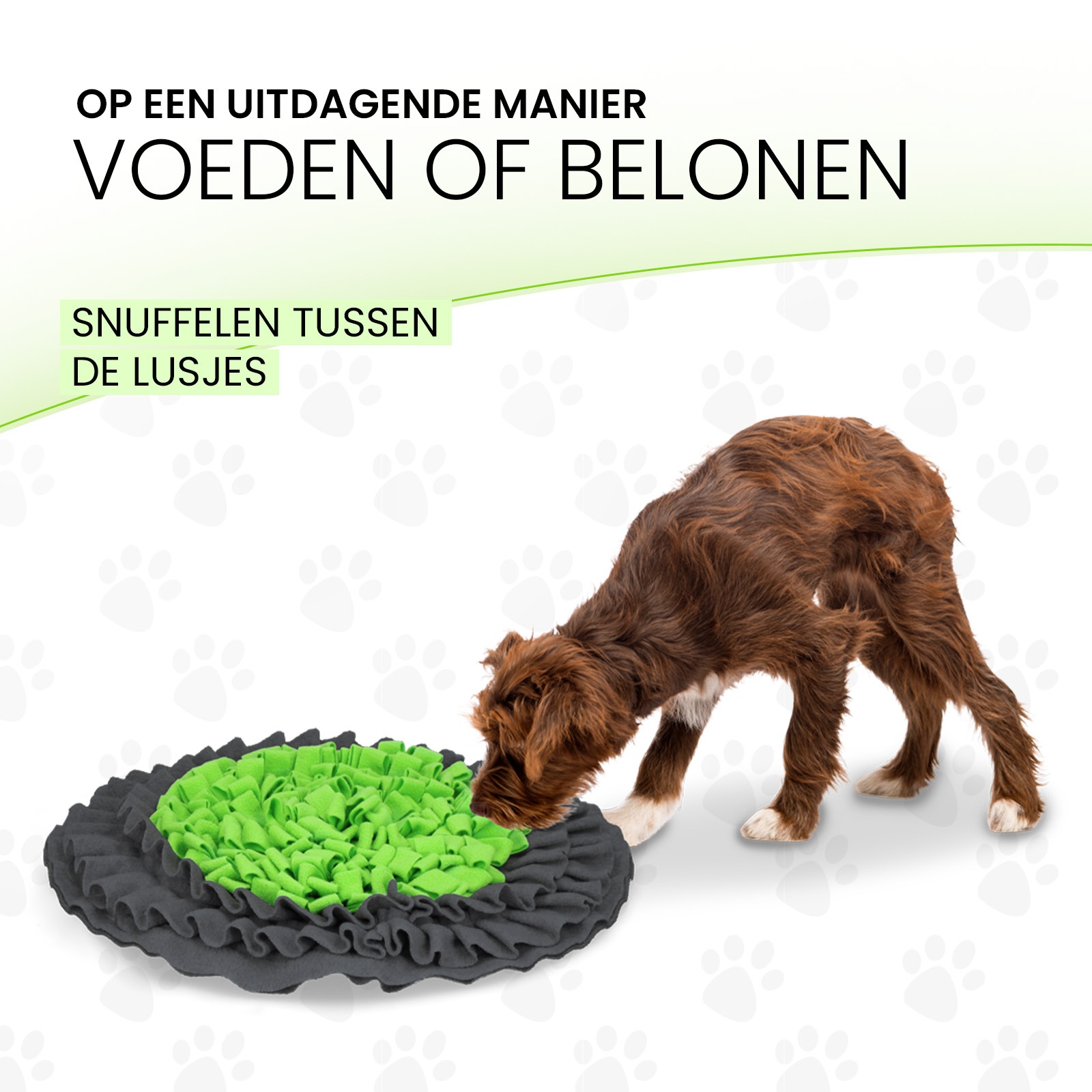 Eat Slow Live Longer Snuffle Mat - Afbeelding 4
