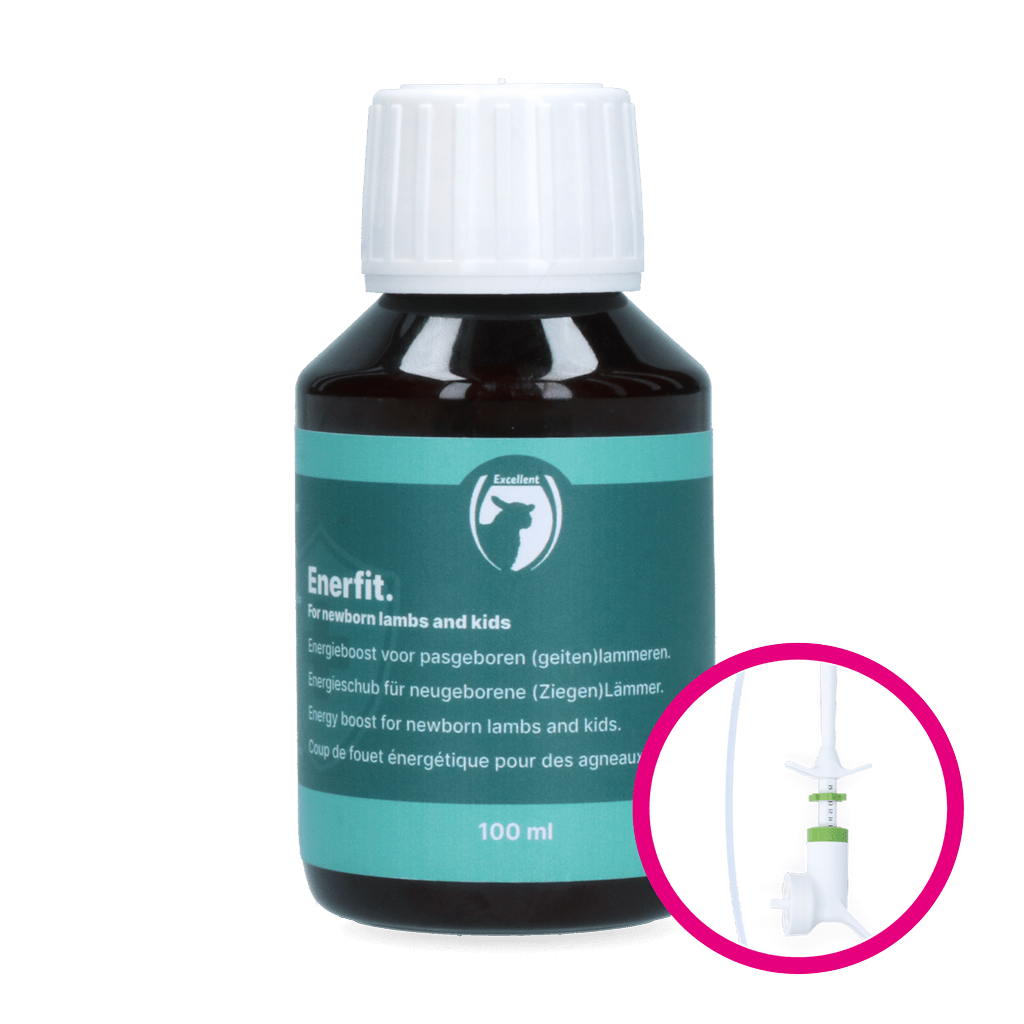 Excellent Enerfit lam/geit 100 ml
