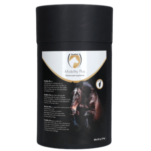Excellent Horse Mobility Plus 80 x 25 g (2 kg)