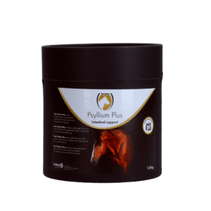 Excellent Horse Psyllium Plus 1,2 kg