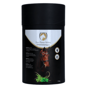Excellent Horse Parex 1,5 kg