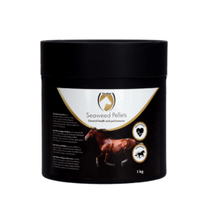 Excellent Horse Seaweed Pellets 1 kg