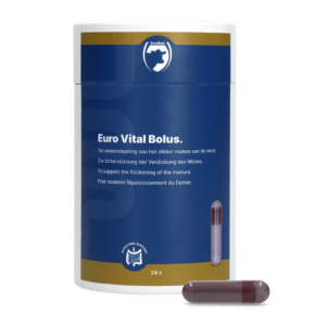 Excellent Euro-Vital Bolus 24 x 10 g