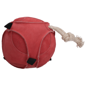 Excellent Horse Fun Play Ball Suede Roze