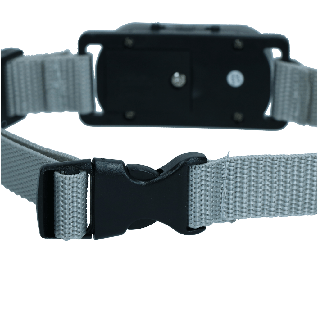 Excellent Pets Bark-Stop Collar - Afbeelding 4