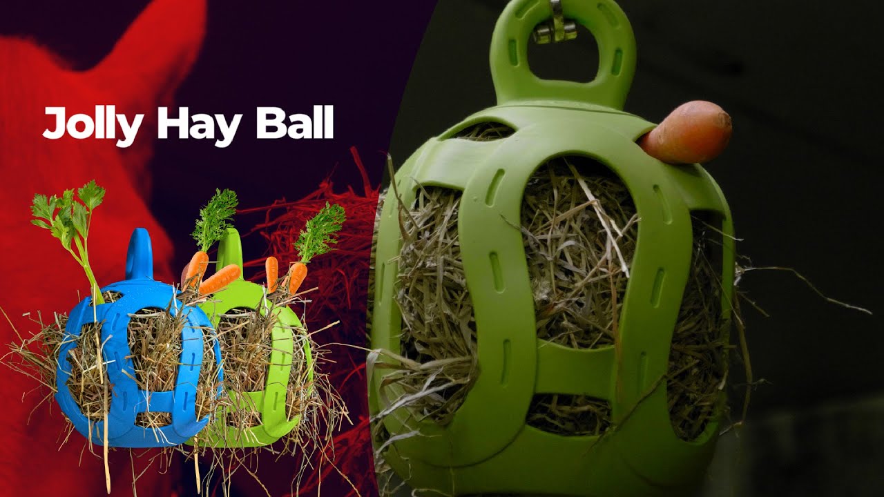 Jolly Hay Ball Groen - Afbeelding 3
