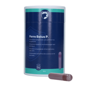 Excellent Ferro Bolus P 24 x 8,5 g