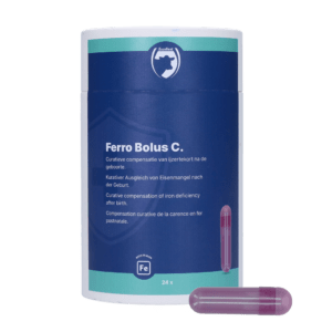 Excellent Ferro Bolus C 24 x 9,5 g