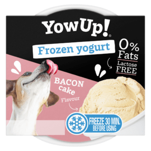 YowUp! Frozen Yoghurt Bacon Cake