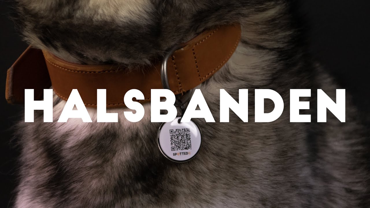 Spotted! Pro Leren Halsband Zwart 3 x 65 cm - Afbeelding 2
