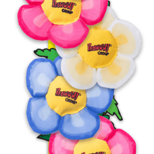 Yeowww! Display Strip Daisy's Flower Top 12 st.
