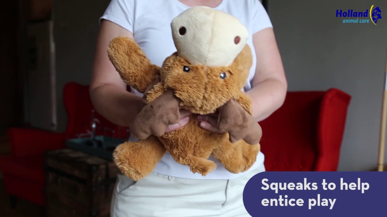 KONG Cozie Marvin Moose XL - Afbeelding 3