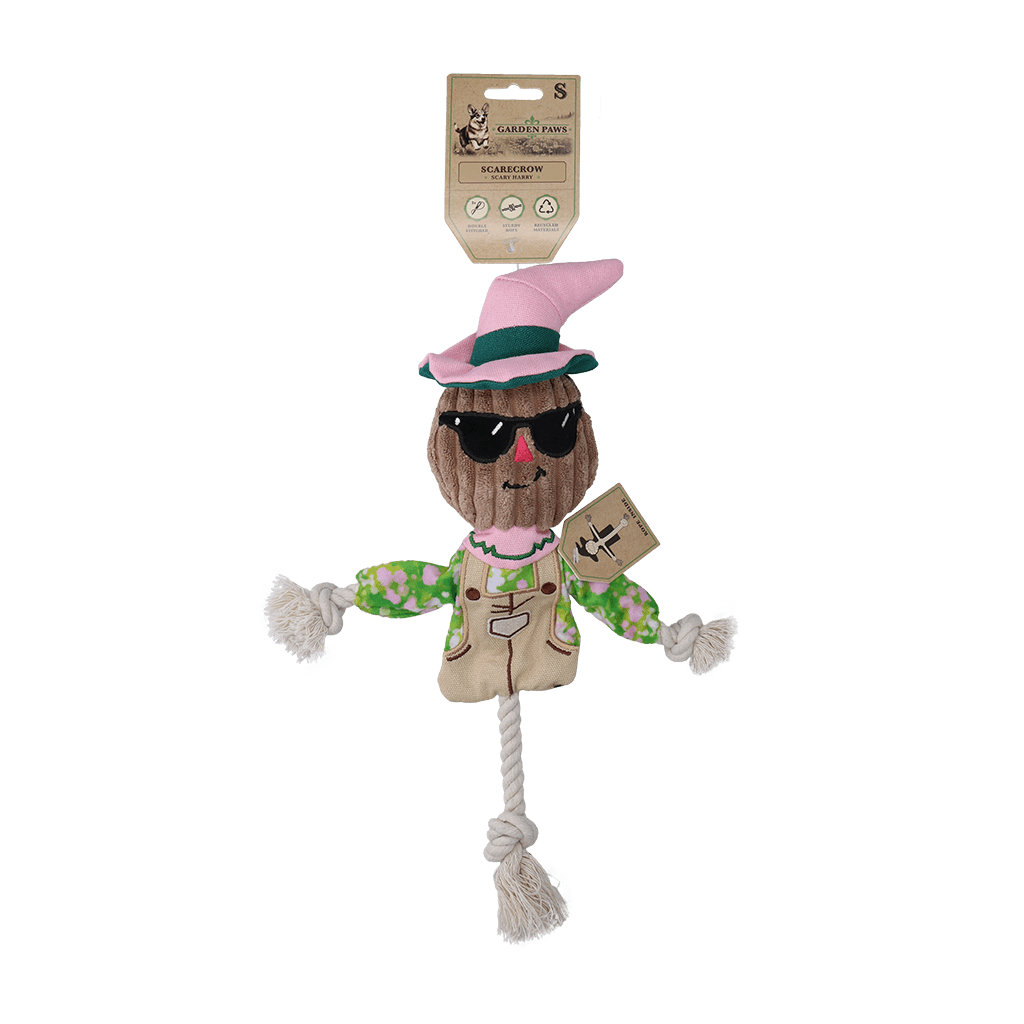 Garden Paws Scarecrow Scary Harry S
