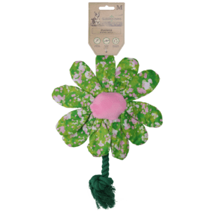 Garden Paws Flower Summer Shrubs M