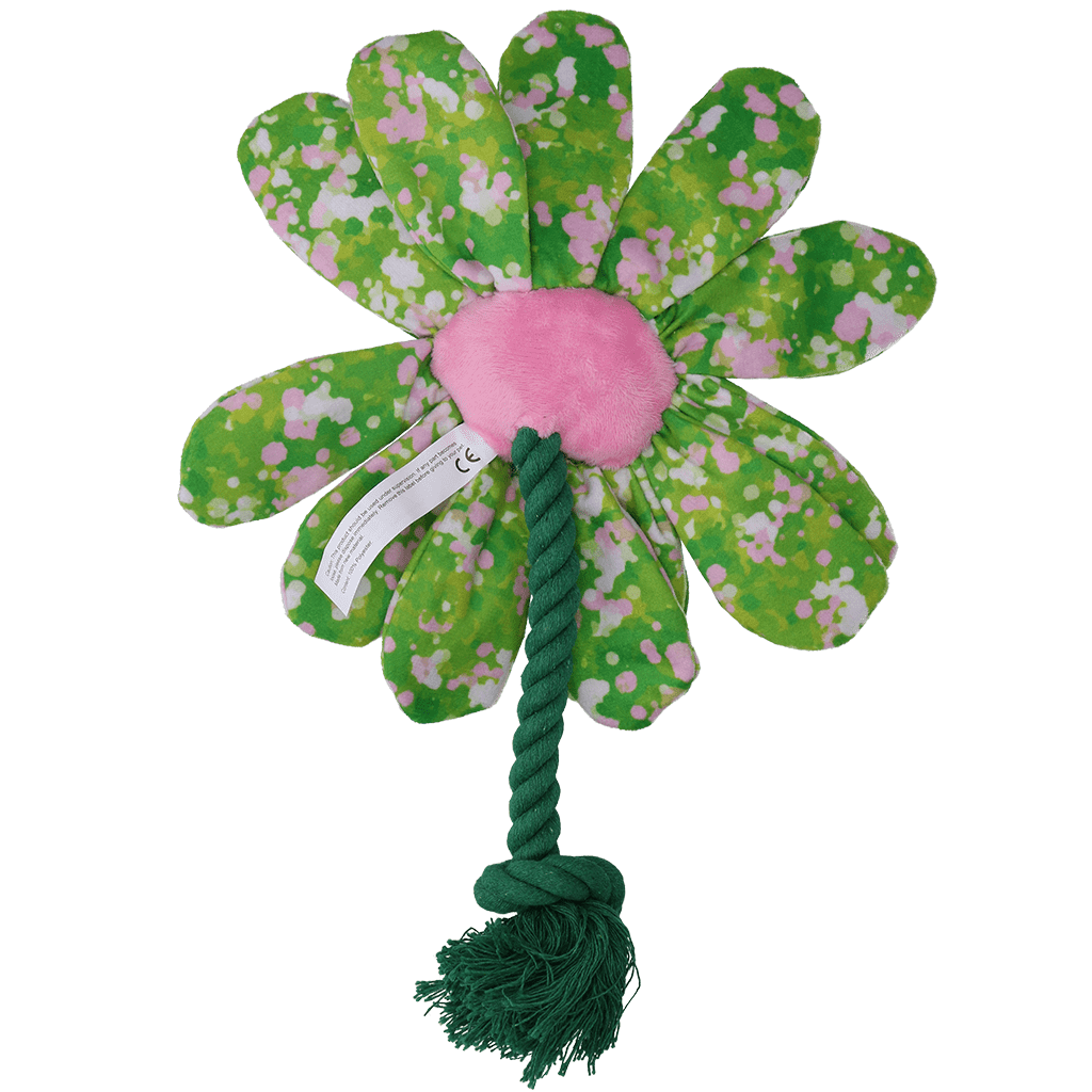 Garden Paws Flower Summer Shrubs M - Afbeelding 3