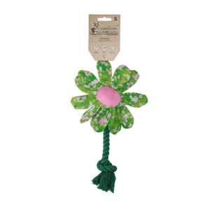 Garden Paws Flower Summer Shrubs S
