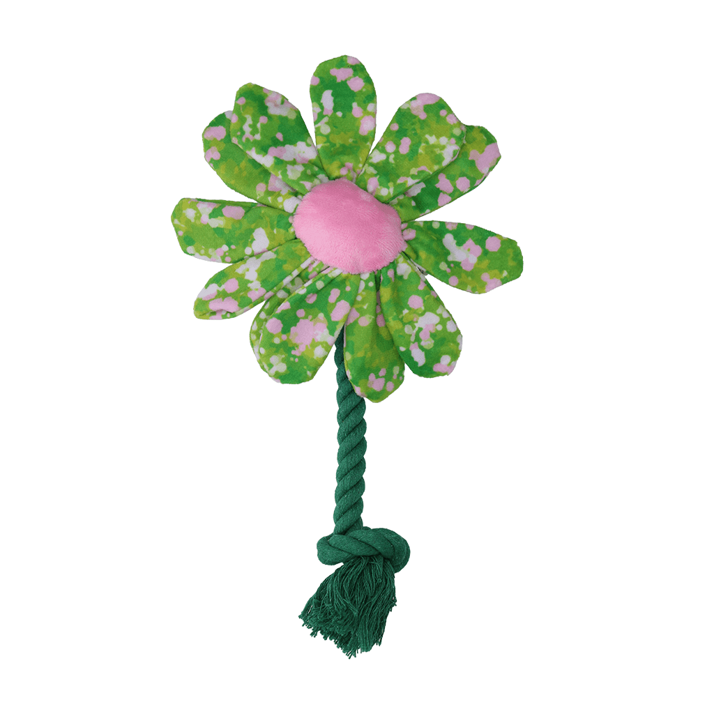 Garden Paws Flower Summer Shrubs S - Afbeelding 2