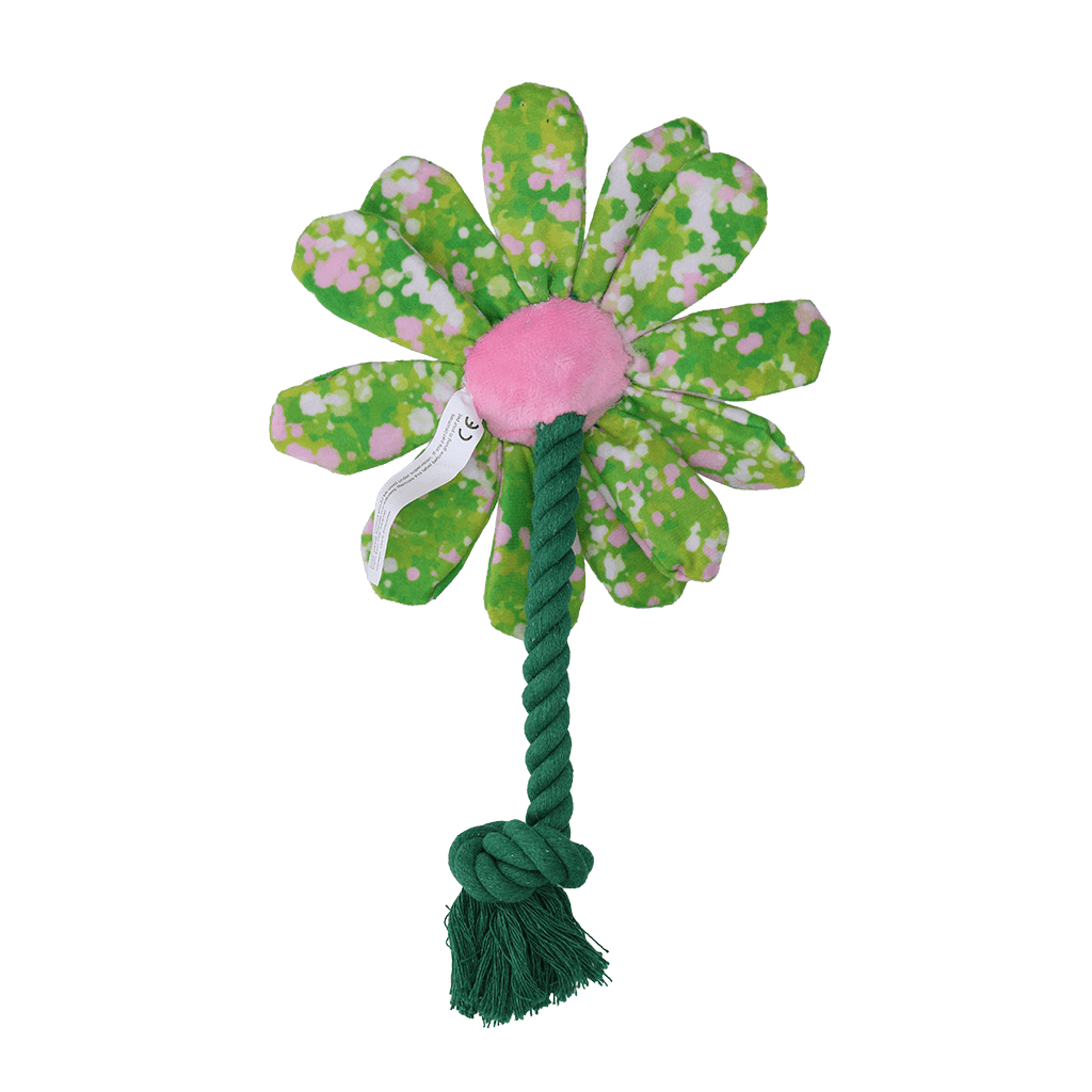 Garden Paws Flower Summer Shrubs S - Afbeelding 3