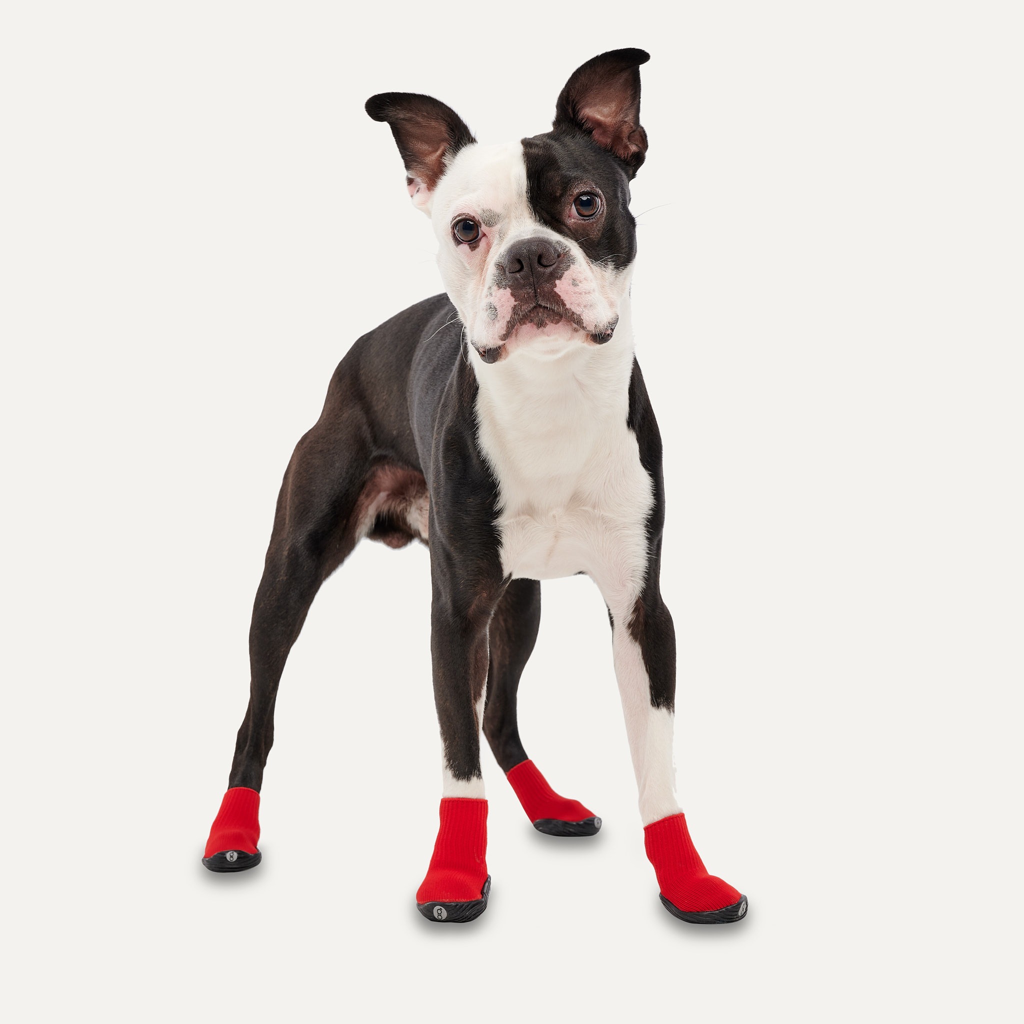 Goo-eez Dog Boots Ultras 2 Per Pack S Rood/Zwart - Afbeelding 3