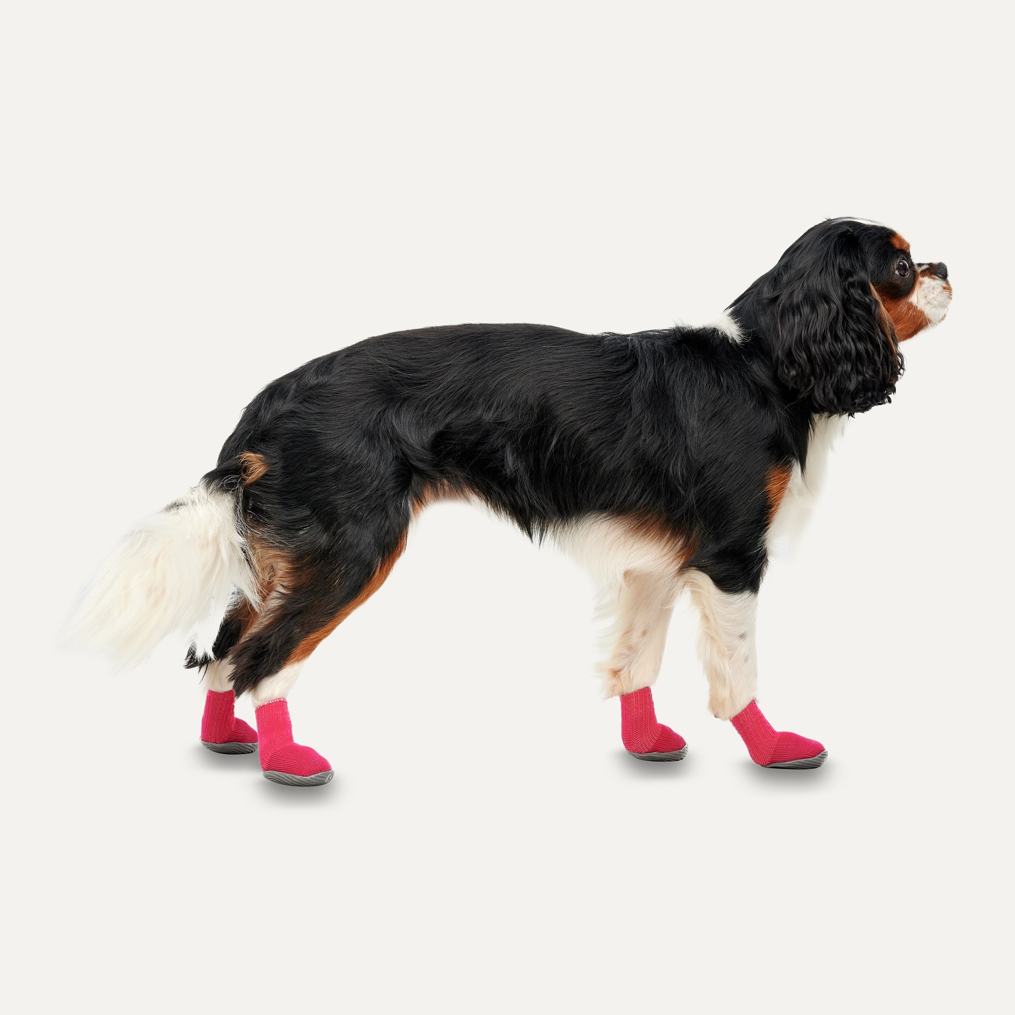 Goo-eez Dog Boots Ultras 2 Per Pack M Rood/Zwart - Afbeelding 2