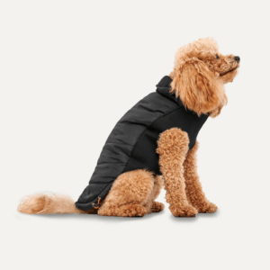 Goo-eez Mock Neck Signature Wrap Jacket L Zwart