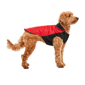 Goo-eez Mock Neck Signature Wrap Jacket XS Rood/Zwart