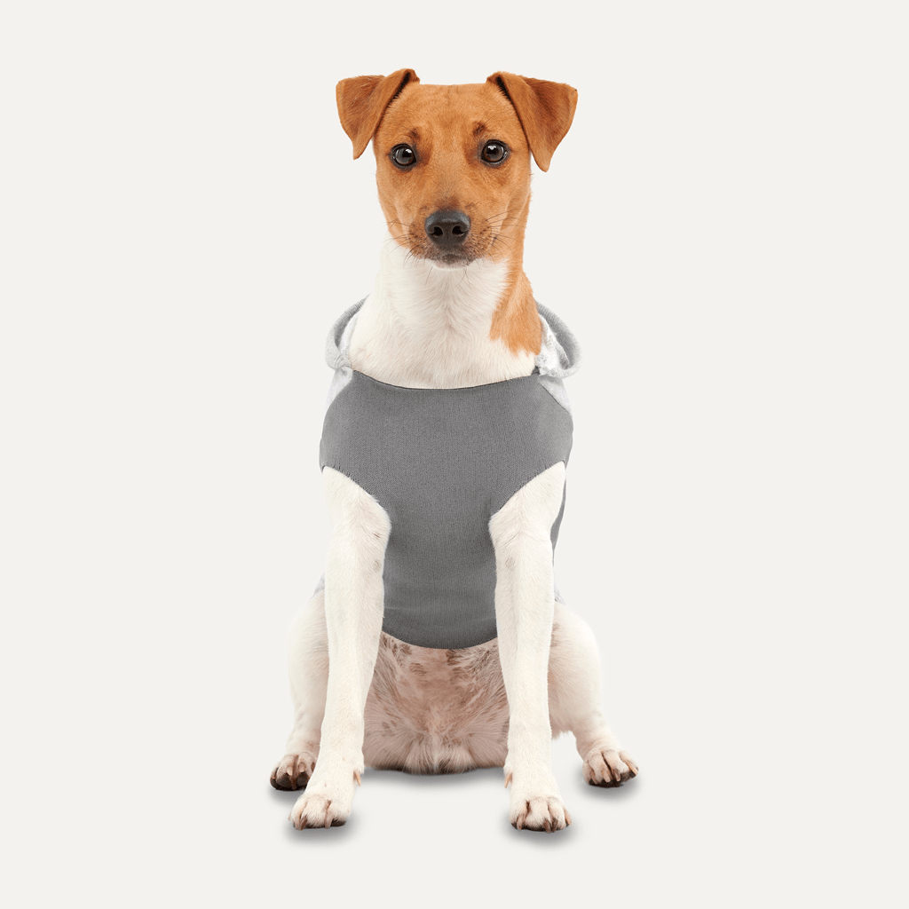 Goo-eez Kangaroo Fleece Hoodie S Grijs - Afbeelding 3