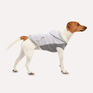 Goo-eez Kangaroo Fleece Hoodie XL Grijs