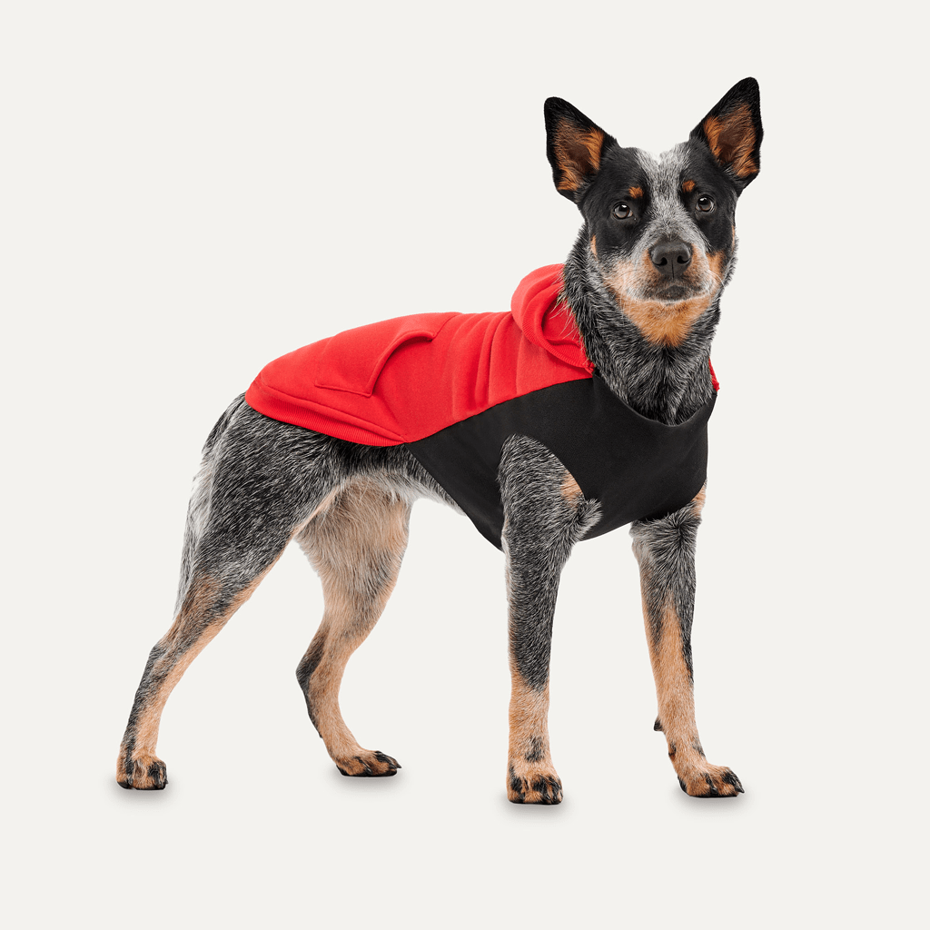 Goo-eez Kangaroo Fleece Hoodie XS Rood/Zwart - Afbeelding 3