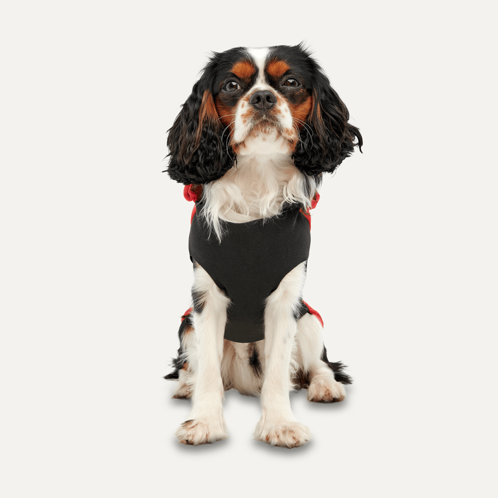 Goo-eez Kangaroo Fleece Hoodie S Rood/Zwart - Afbeelding 2