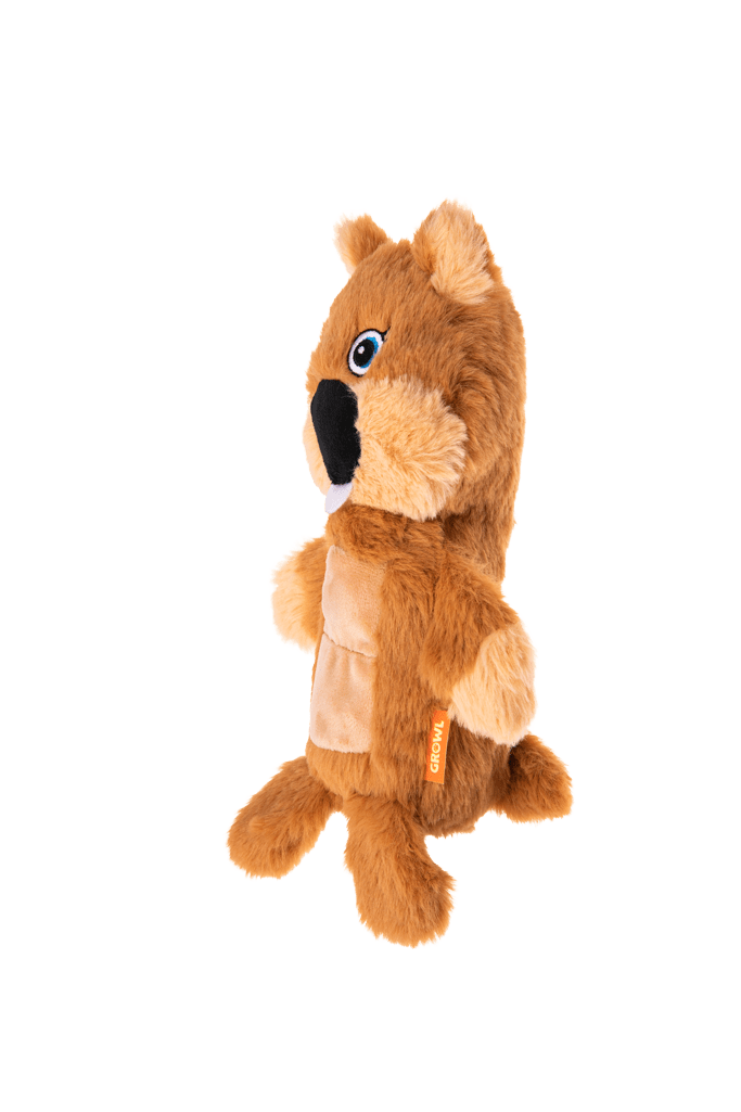 Growl Belly Boomerz Benny de Bever - Afbeelding 3