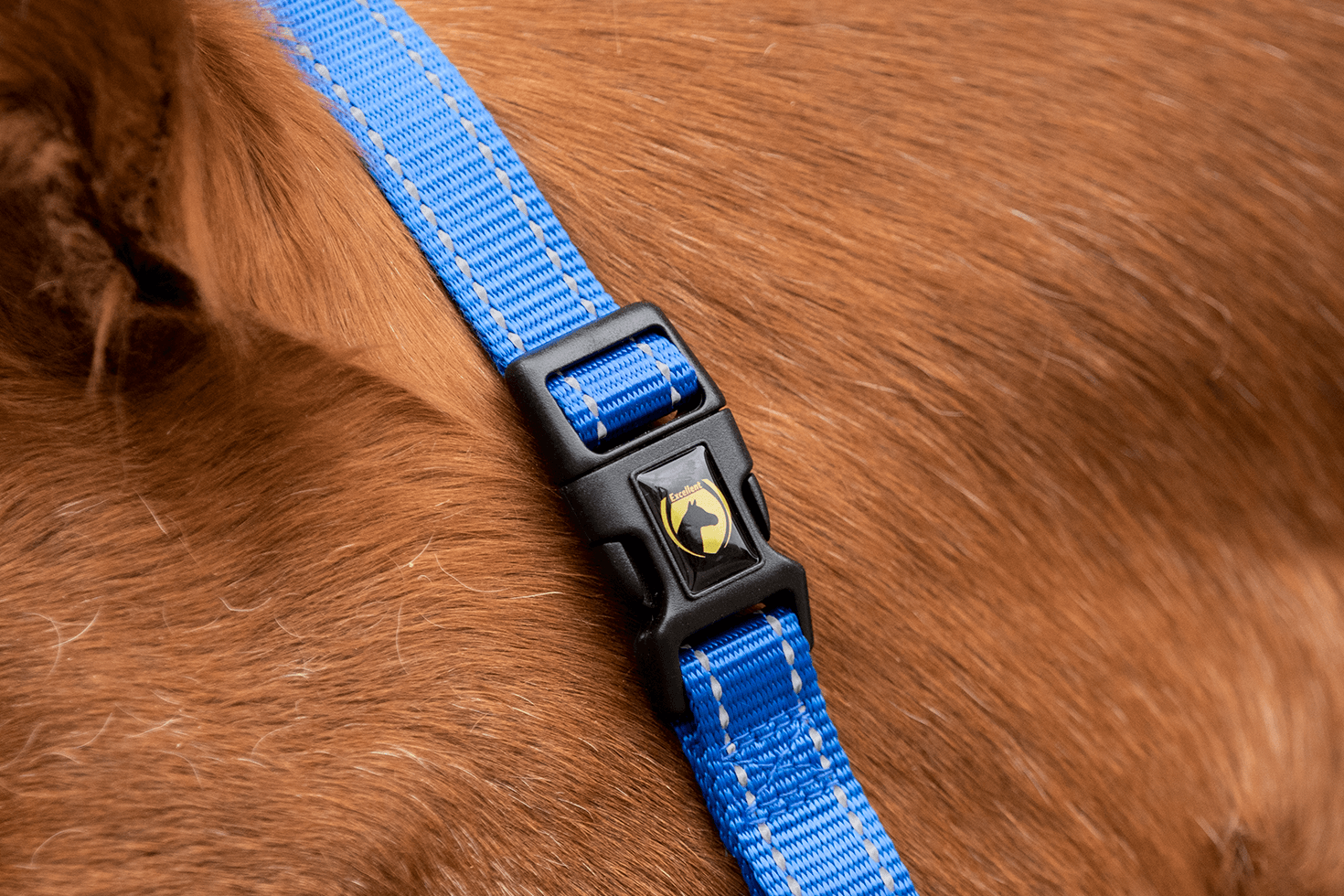 Excellent Essential Halster Blauw XS - Afbeelding 2