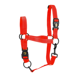 Excellent Premium Halster Rood M