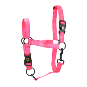 Excellent Premium Halster Roze M