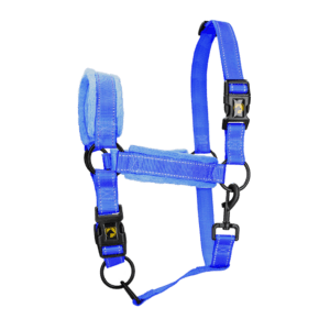 Excellent Superior Halster Blauw S