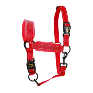 Excellent Superior Halster Rood M